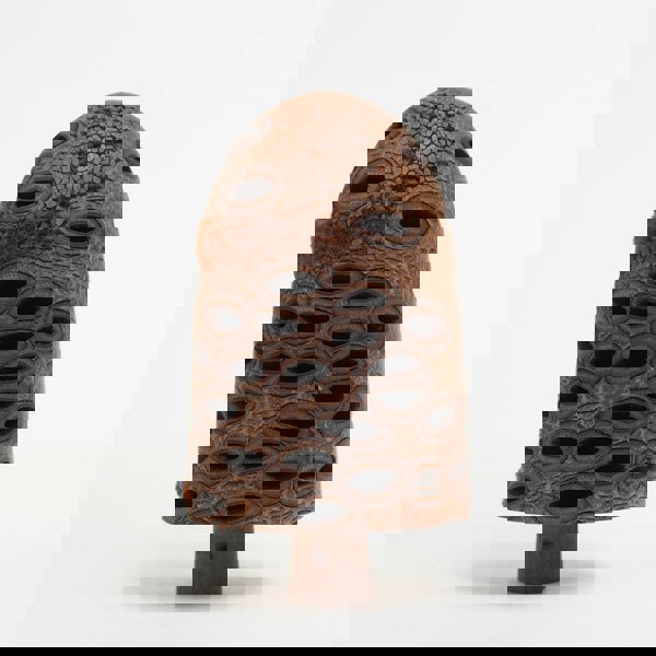 The Arboretum Handmade Wooden Hairy Banksia Nut Ornament