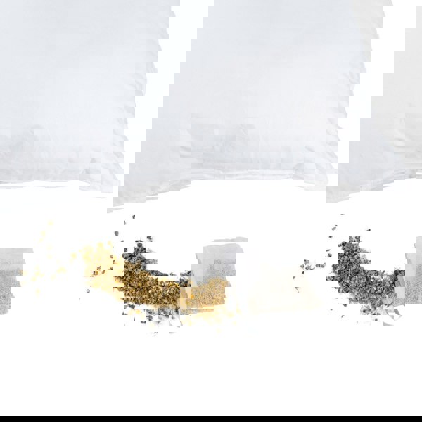 HOMESCAPES Set of Two Dried Camomile Filled Pouches for HOMESCAPES Camomile Pillow