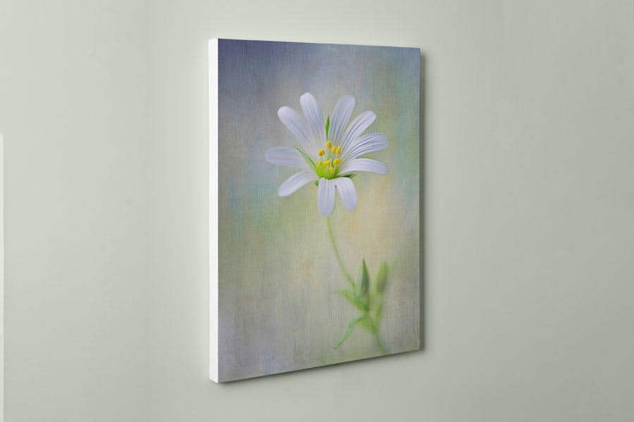 Fernlight Gallery Spring Spirit