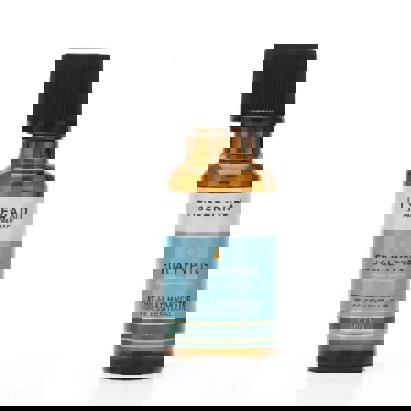 Tisserand Eucalyptus Essential Oil 20 ml