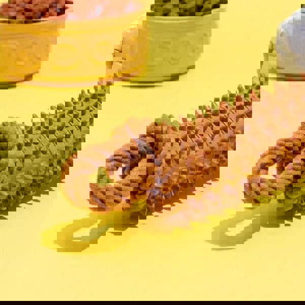 CERDA LIFE'S LITTLE MOMENTS - Thor hammer Dog toy - Dental dog chew for dogs and puppy - tough dog toys - Official Marvel Licensed