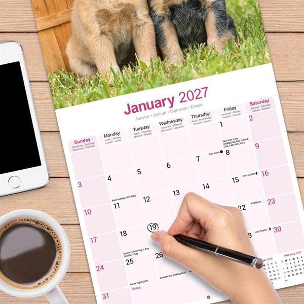 Australian Cattle Dog Calendar 2027, Wall Calendars, Month To View, Dogs, Gift