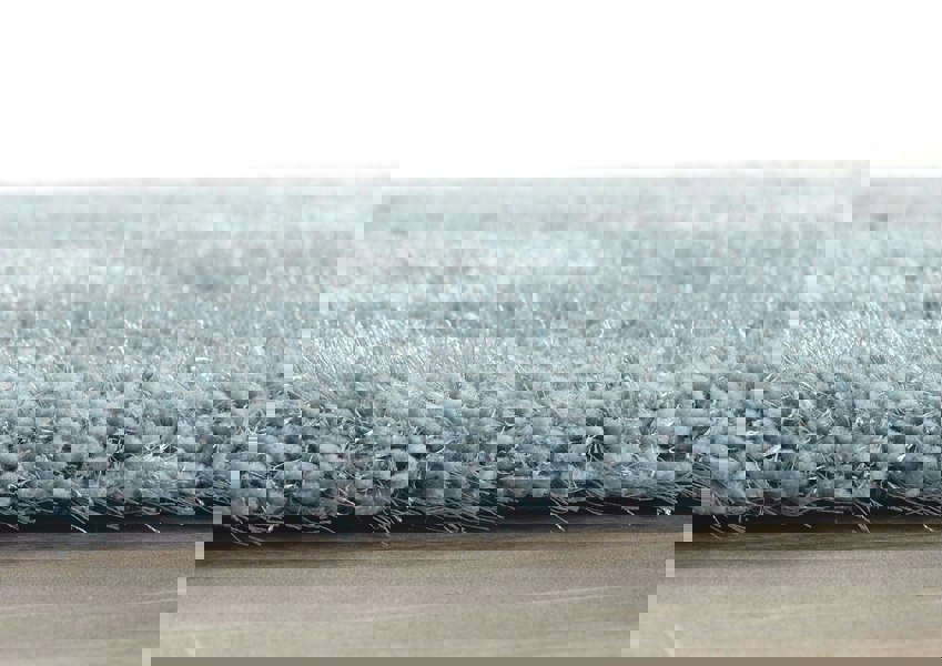 Origins Chicago Duck Egg