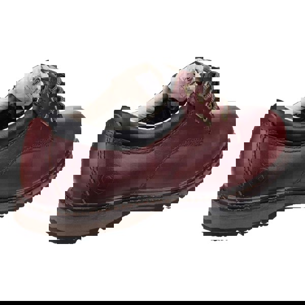 Cotswold Stonesfield Hiking Men's Shoes in Chestnut