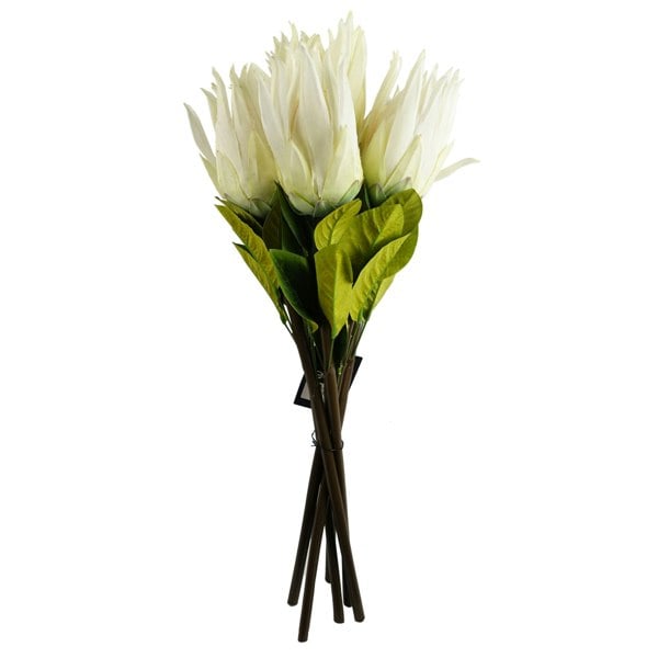 Leaf Pack of 6 x 65cm Protea Sugarbush Flower Stem - White