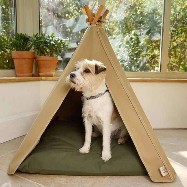 Dog Teepee - Pooch and Paws