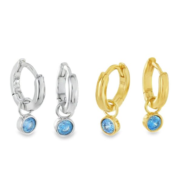 Reeves & Reeves Stone Charm Hoop Earrings