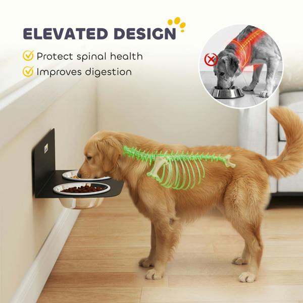 Pet Feeder