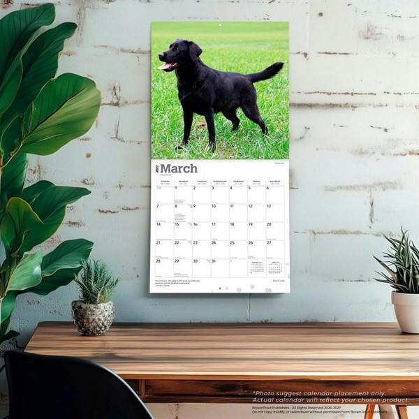 Black Labs Calendar 2027, Wall Calendars, Month To View, Dogs, Gift