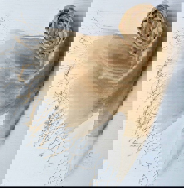 Antonia York Sophia Organza and Crepe Silk Viscose Soft Gold Tasselled Bridal Bridesmaid Special Occasion Wrap