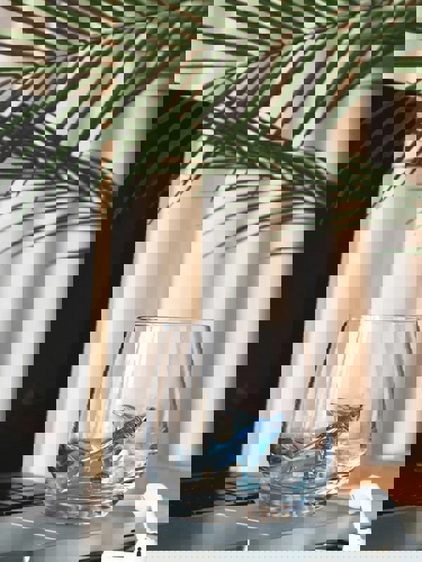 Glass Shark Wine Glass. A Fin-tastic Twist on Your Tipple