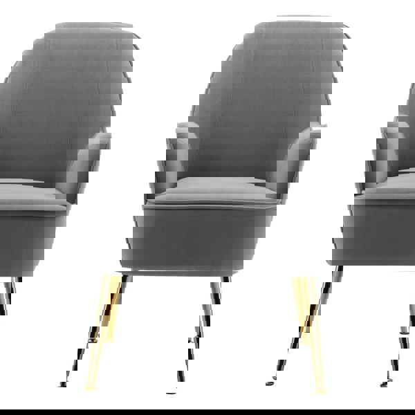 Leisure Velvet Armchair with Gold-plated Metal Legs Other Occasional Chairs Living and Home