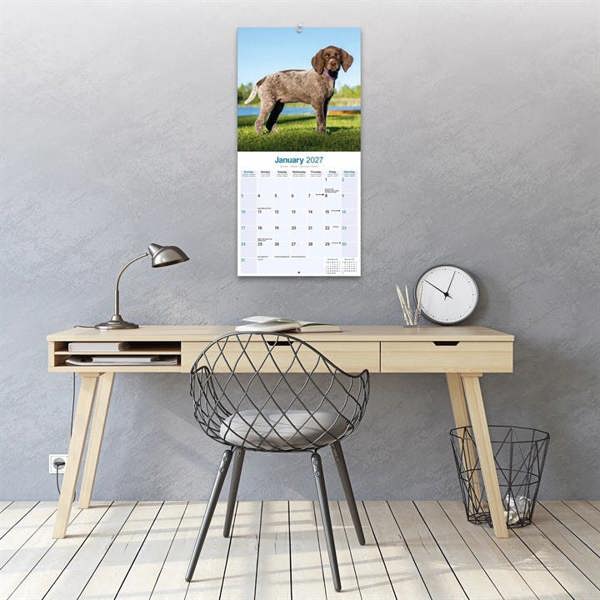 German Shorthaired Pointer Calendar 2027, Wall Calendars, Month To View, Dogs, Gift