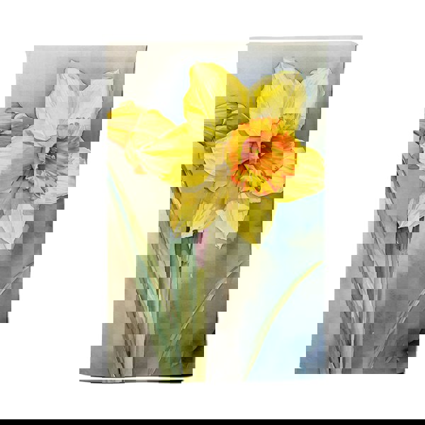 Warren Reed Daffodil Watercolour Tea Towel