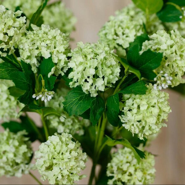 Wyld Haus Set of 3 Artificial Flowers Green Snowball Viburnum Sprays