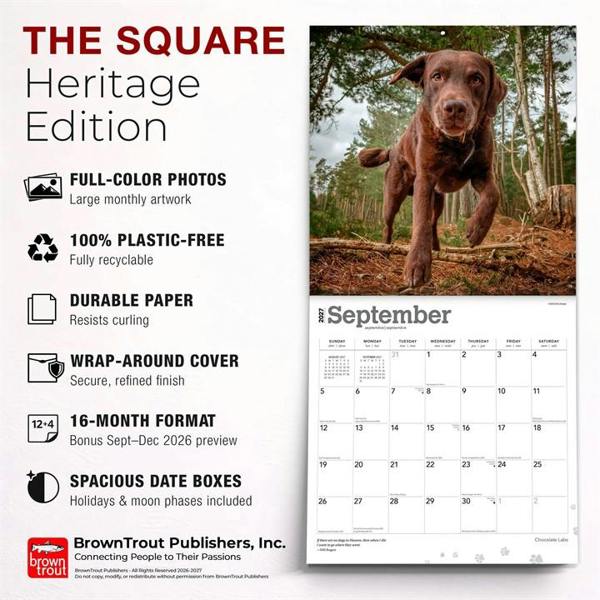 Chocolate Labs Calendar 2027, Wall Calendars, Month To View, Dogs, Gift