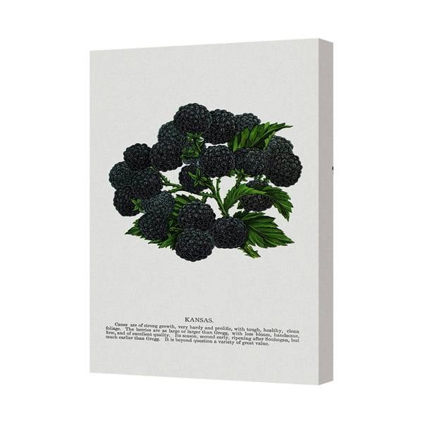 Benjamin Tate Design Blackberry Canvas Art Print With Deep Wooden Frame Handmade In United Kingdom