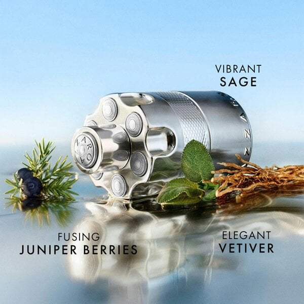 Azzaro Wanted Eau de Parfum 100 ml