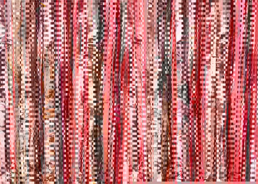 Cheetah Shimmer Tinsel Curtain, 2.5M x 1M Rose Gold