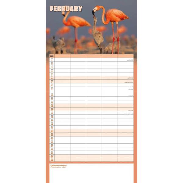 The Busy Life Family Planner 2027, Family Planners, Month To View, Animals, Gift