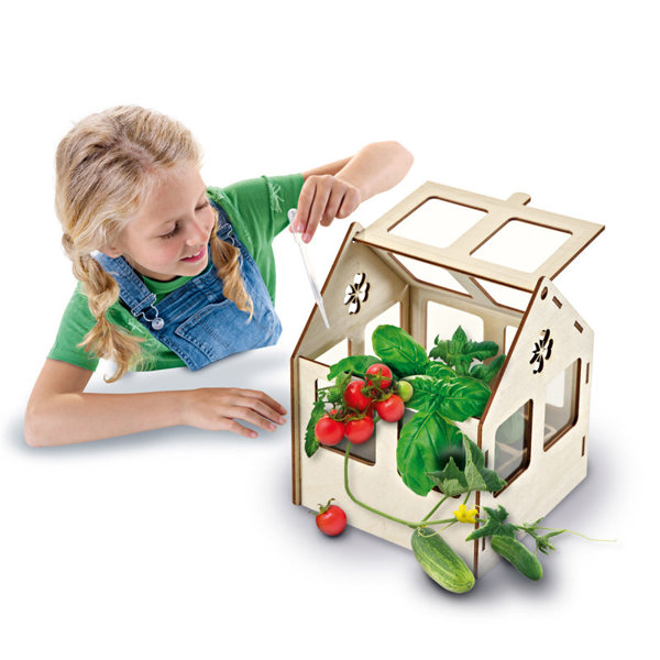 SES Creative Greenhouse veggies