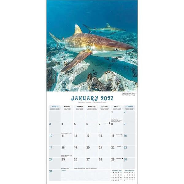 Sharks Calendar 2027, Wall Calendars, Month To View, Animals, Gift