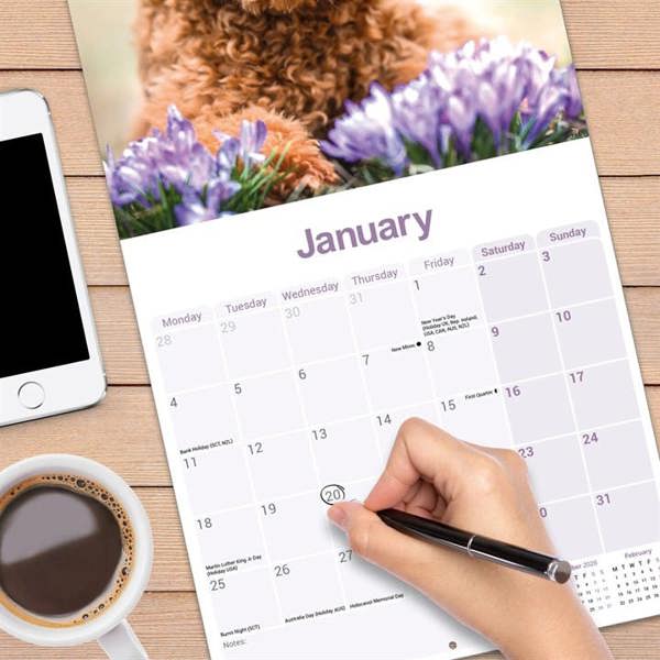 Toy & Miniature Poodle Calendar 2027, Wall Calendars, Month To View, Dogs, Gift