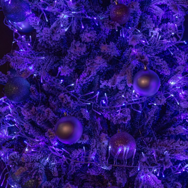 Samuel Alexander 9.3m 720 LED Christmas Cluster String Lights with Timer in Blue, Purple & White on Clear Cable