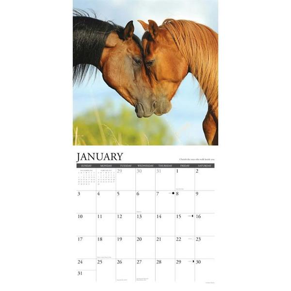 What Horses Teach Us Calendar 2027, Wall Calendars, Month To View, Animals, Gift