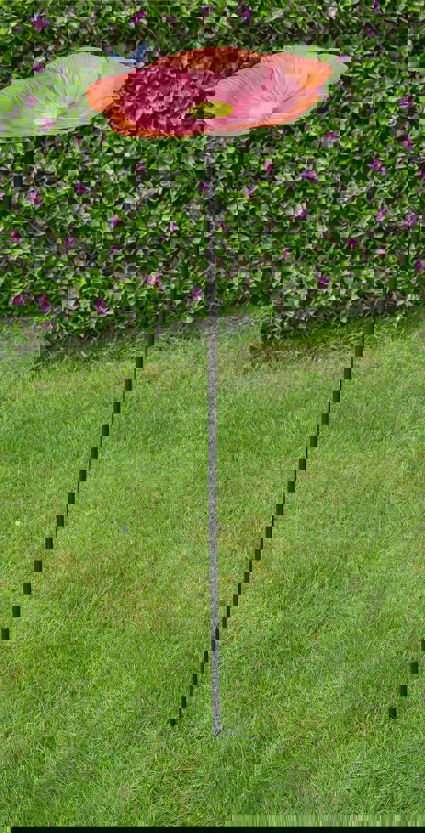 St Helens Ornamental Free Standing, Weather Resistant, Easy Assemble Bird Bath and Feeder