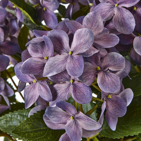 Wyld Haus Artificial Plant Medium Purple Hydrangea Plant In White Ceramic Pot