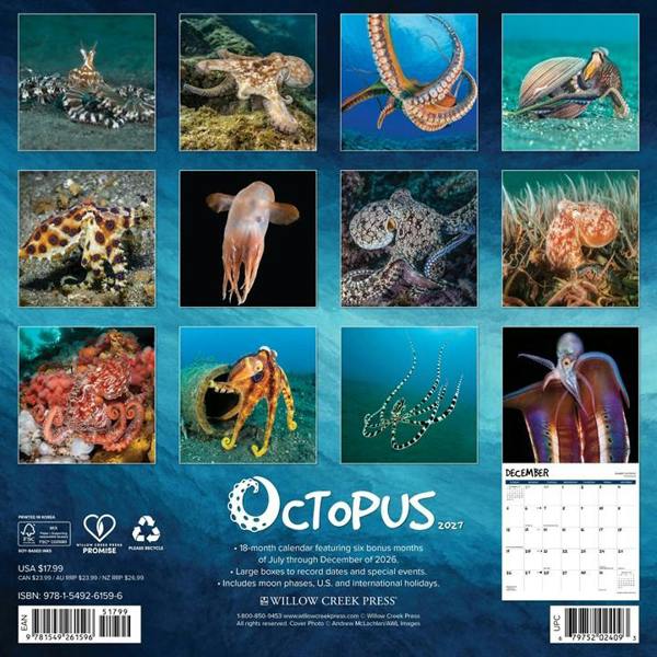 Octopus Calendar 2027, Wall Calendars, Month To View, Animals, Gift