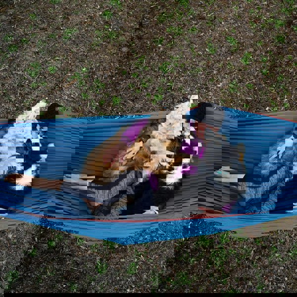 TrunkTech™ Double Hammock SOLID COLOUR tt-2tone-ls-06