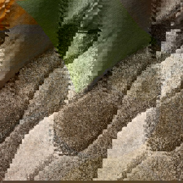 Origins 3D Scallop Neutral