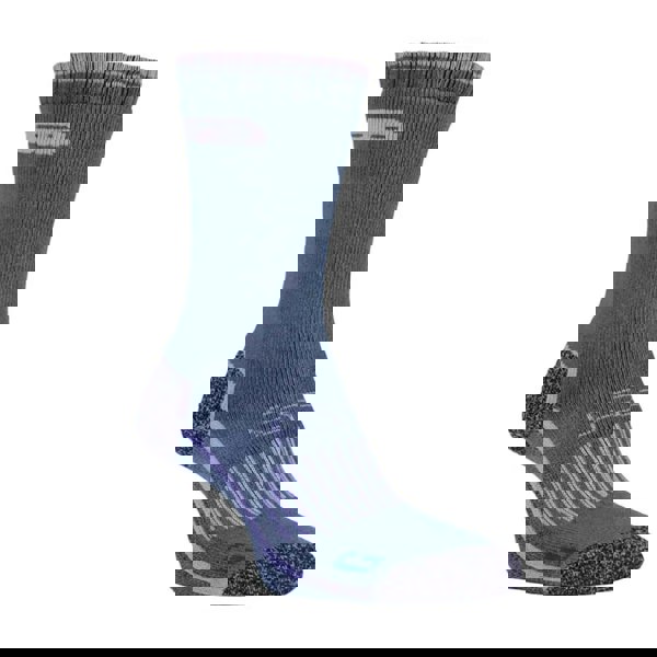 t4option1_3
