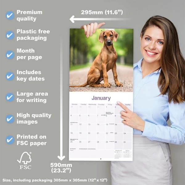 Rhodesian Ridgeback Calendar 2027, Wall Calendars, Month To View, Dogs, Gift