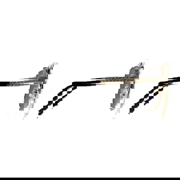 Versace Sunglasses VE2238 143687 Gold and Matte Black Dark Grey