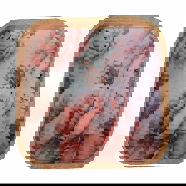 Artisan Furniture Pink Floral Square Bowl Set of 2