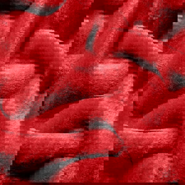 Snug City Soft & Warm Mink Throw Blanket