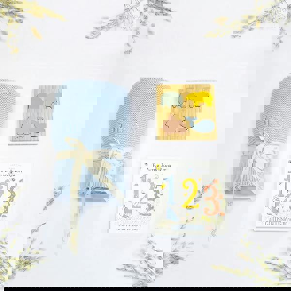 The Baby Gifting Company Welcome Baby Play and Read Gift Set