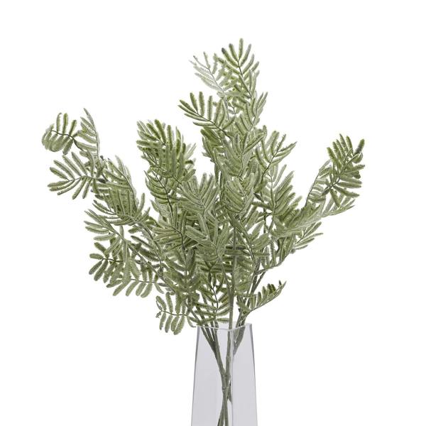 Wyld Haus Set of 3 Artificial Flowers Silver Wattle Leaf Stems