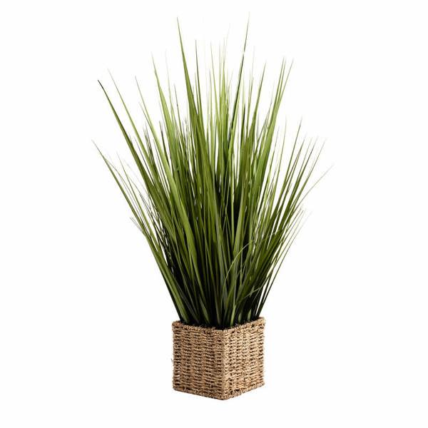 Scottish Everlastings 85cm Grass in Seagrass Square Pot