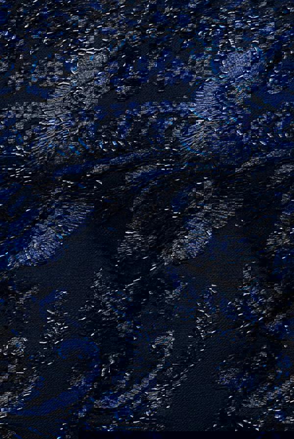 Scallop Edge Corset Back Structured Lace Mini Dress - Navy Blue DR4966