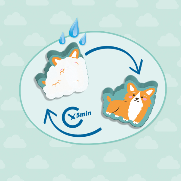 SES Creative Dog wash