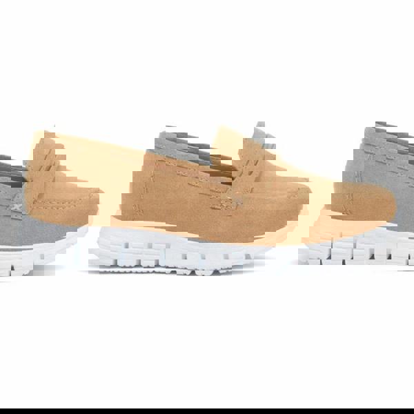 Cipriata FELISA Casual Trainers   in  Taupe