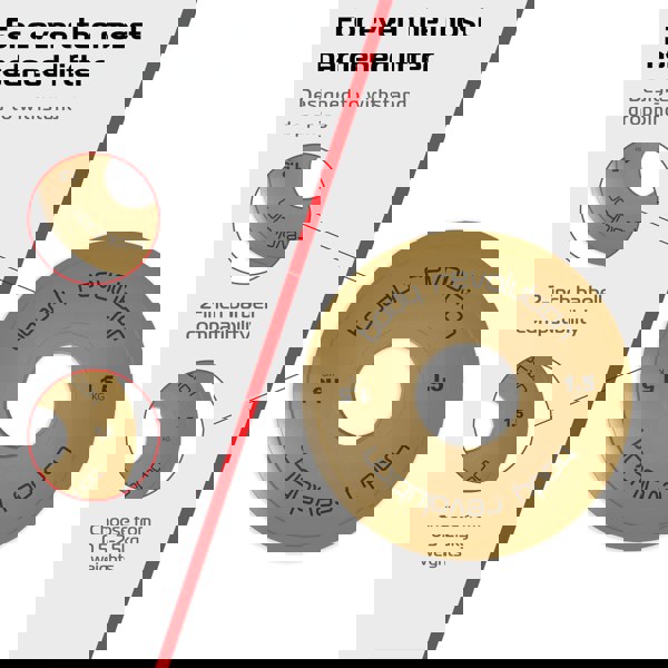 Body Revolution 2 x 1.5kg Fractional Bumper Plates