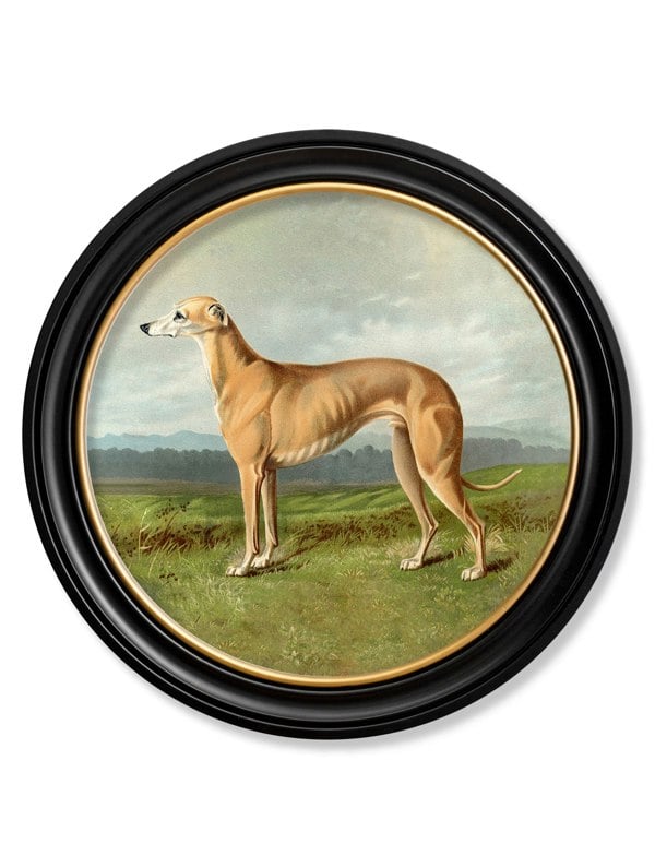 Exceptional Art c.1881 Working Dogs - Round Frame