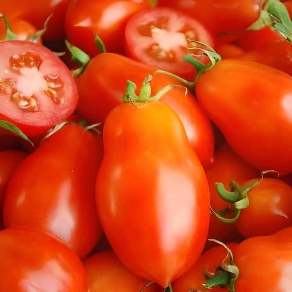 Roma VF tomato seeds in packet showing high quality seeds ready for planting in UK gardens Tomato Roma VF Seeds