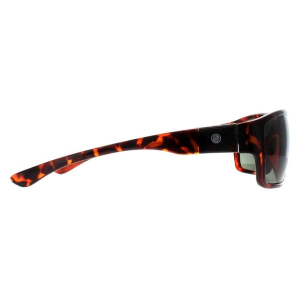 Smarty Sunglasses X2135 B Demi Brown Tortoise Green