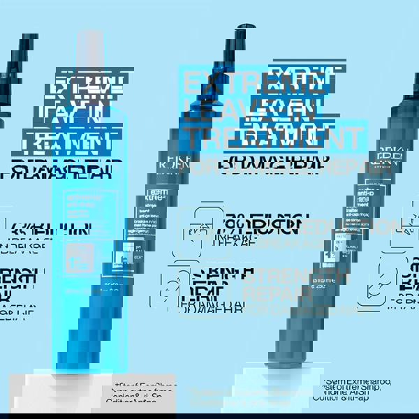 Redken Extreme Anti Snap Treatment Duo